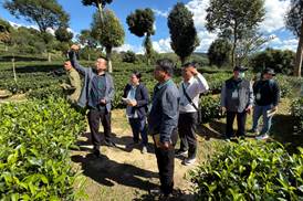 2025年澜湄流域茶产业培训在普洱成功举办